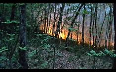 Siracusa, due anni dopo gli incendi i ristori restano un miraggio: fondi insufficienti, errori tecnici e una provincia lasciata ai margini