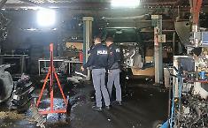 Auto rubate, ricambi e un cavallo detenuto illegalmente: blitz della Polizia tra Lentini e Francofonte