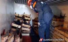 Sequestrata a Siracusa una tonnellata di tonno rosso senza tracciabilit&agrave;: multa di 2.666 euro e pesce donato in beneficenza