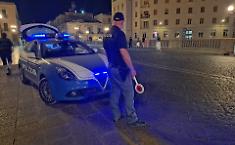 Controlli interforze nel Siracusano: sequestrate 51 piante di marijuana a Lentini