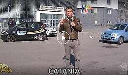 Catania, accalappiati i cani che gironzolavano nelle aree esterne dell'ospedale San Marco