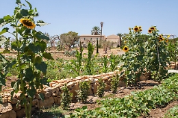 Le Giornata Fai e Agrigento si fa ancora pi&ugrave; bella
