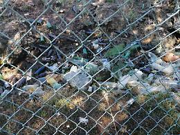 Benvenuti a Nicolosi….Pineta Monti Rossi