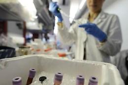 Covid, il bollettino del 10 gennaio: in Sicilia 1.733 nuovi casi e 33 morti