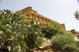 Così la Valle dei Templi si prepara al "risveglio" dopo il coronavirus