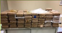 Blitz contro i narcos in Calabria, arresti anche in Sicilia