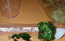 Marsala, verdura con insetto nel pasto di un bimbo ricoverato in ospedale