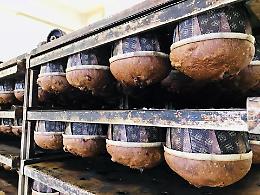 Ferragosto a Milano con panettone agli agrumi di Sicilia