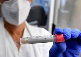 Covid, altre quattro persone positive nel Palermo Calcio