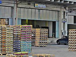 Vittoria, i box del mercato sospesi e la grande attesa