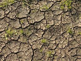 Desertificazione, il 70% della Sicilia &egrave; a rischio