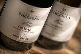 Fondo Filara, in vino veritas