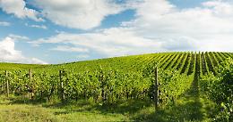 Inycon, la festa del vino a Menfi