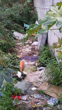 In via San Pio X, in prossimità della fermata del bus,  rifiuti su aiuole e marciapiedi