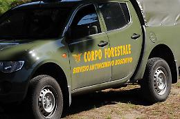 Caseificio di Vizzini senza autorizzazioni sanitarie: sequestrato