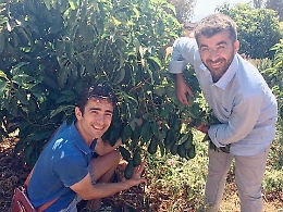 «Con i super food rendiamo la terra di nuovo redditizia»