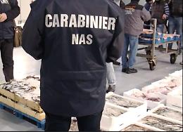 Mercato ittico di Aci Trezza chiuso dal Nas per gravi carenze igieniche