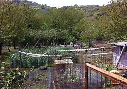 Mascali, uccise un ladro nel suo podere, ora chiede la grazia