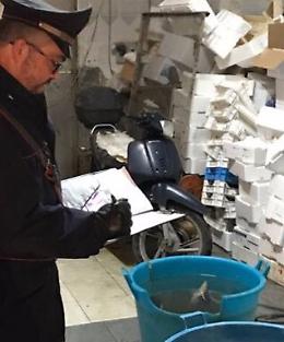 Pesce scaduto e carenze igieniche al mercato ittico di Ortigia