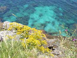 Capo Gallo, vuole scattare una foto ma precipita da costone alto 30 metri