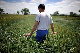 Compro un terreno e... RESTO AL SUD