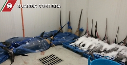 Pesce spada senza tracciabilità: 2 tn sequestrate al Maas di Catania