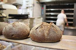 Furto all'interno di una panetteria in via Cicerone