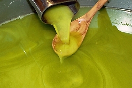 &laquo;L'olio tunisino non &egrave; dei tunisini. Non si capisce L'Ue da che parte sta&raquo;