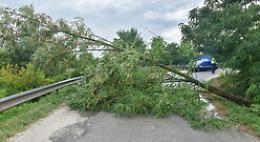 Previsti venti di burrasca, sindaco di Messina chiude ville e cimiteri