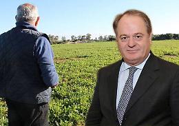 Agricoltura in Sicilia, l’assessore Cracolici «A inizio 2016 i bandi per attivare la spesa»