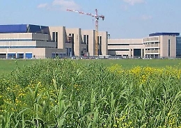 Catania, St Microelectronics d&agrave; il via alla cassa integrazione per 2024 persone