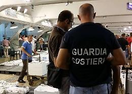 Così si controlla la qualità del pesce Il blitz al mercato ittico di Aci Trezza
