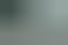 Fondi pubblici per operazioni fittizie ad aziende figlio di un boss