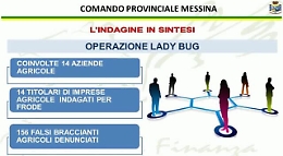Truffa a Inps e Agea nel Messinese: scoperti 156 falsi braccianti agricoli