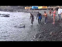 Santa Tecla, squalo si avvicina alla costa