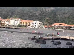 Santa Tecla, squalo soccorso dai bagnanti sulla spiaggia delle Cocole
