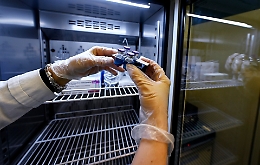 Anomalia in catena del freddo, ritirato lotto vaccini nell'hub di Catania