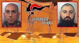 Catania, serra di marijuana "skunk" in villa a S. G. Galermo: due arresti