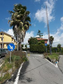 Viagrande (Ct): Palma "abbracciata" ad un lampione occulta la visibilità