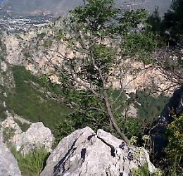 Palermo, si stacca costone roccioso da Monte Pellegrino: paura tra i residenti