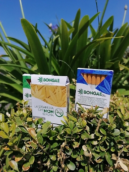 Catania, la Gdf chiude il sito Bongae che vendeva sigarette alla canapa