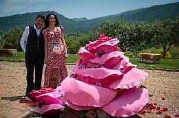 La rosa damascena ingrediente raffinato delle creazioni Fiasconaro