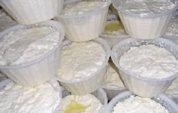 Ricotta di provenienza ignota in bar-pasticceria a Palermo: sequestrata