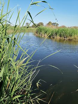 L'appello di venti associazioni per il "parco di Monte Po"