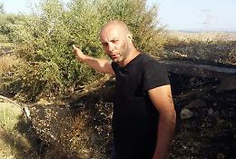 Il grido di dolore dell'agricoltore antimafia: «Così i piromani hanno mandato in fumo dieci anni della mia vita»