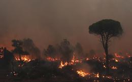 Brucia la Costa Azzurra: migliaia di turisti evacuati
