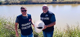 Liberate nel fiume Simeto anguille sequestrate in Pescheria