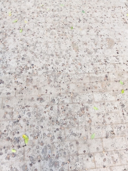 Catania: area giochi Vulcania piena di fogliame da ripulire