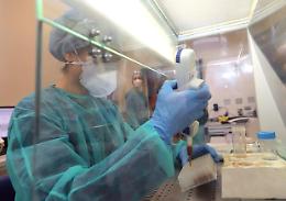 Beta talassemia, terapia genica guarisce il 90% dei malati