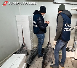 Sequestrate 10 tonnellate di prodotti ittici tra Catania, Messina, Siracusa e Ragusa